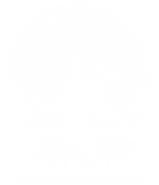 greenplanetdinino.it